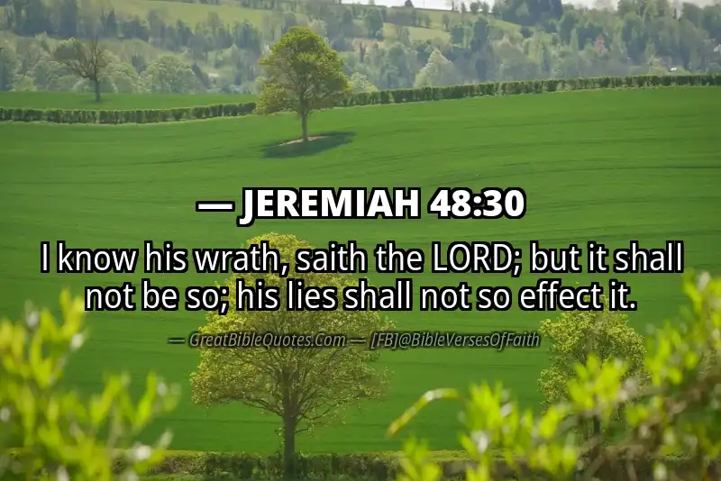 JEREMIAH 48:30 Verse
