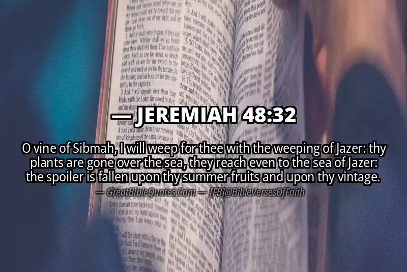 JEREMIAH 48:32 Verse
