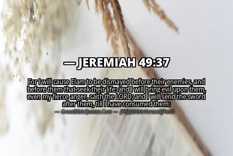 JEREMIAH 49:37 Verse