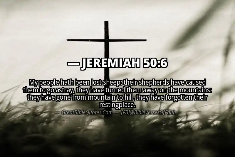 JEREMIAH 50:6 Verse