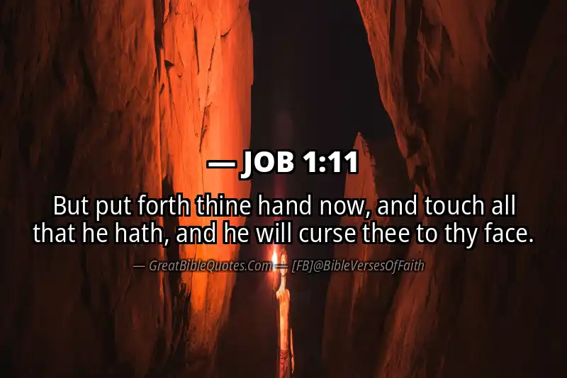 Bible verse: JOB 1:11 Image