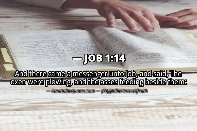 Bible verse: JOB 1:14 Image