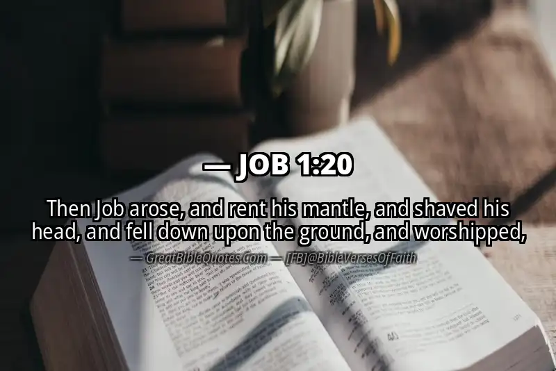 Bible verse: JOB 1:20 Image