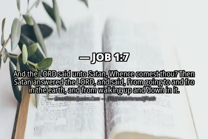 Bible verse: JOB 1:7 Image