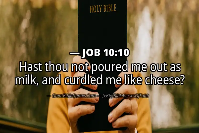 JOB 10:10 Verse