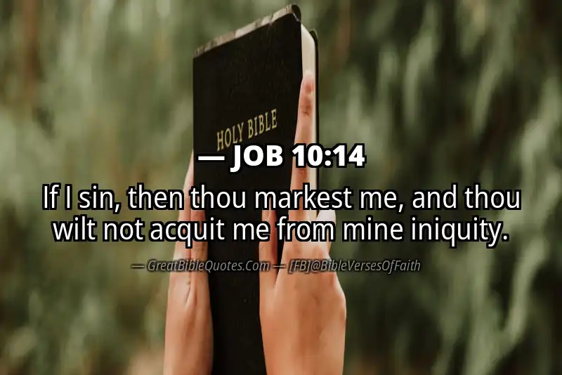 JOB 10:14 Verse