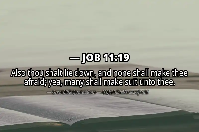 JOB 11:19 Verse