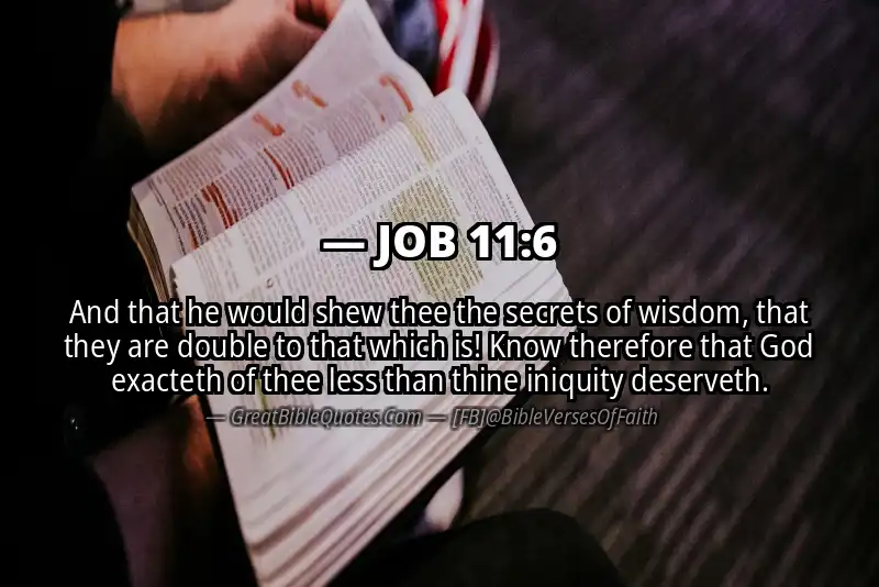 JOB 11:6 Verse