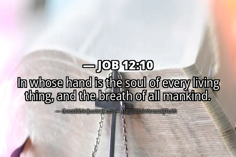 JOB 12:10 Verse