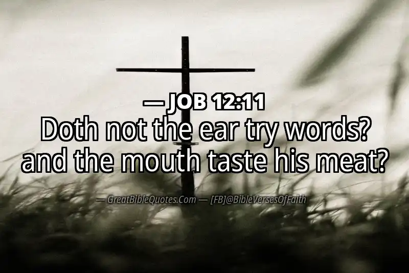 JOB 12:11 Verse