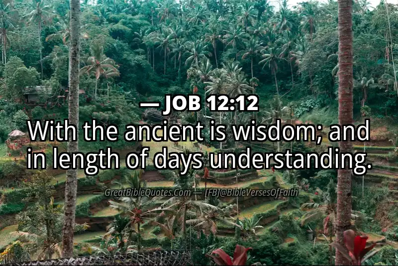 JOB 12:12 Verse
