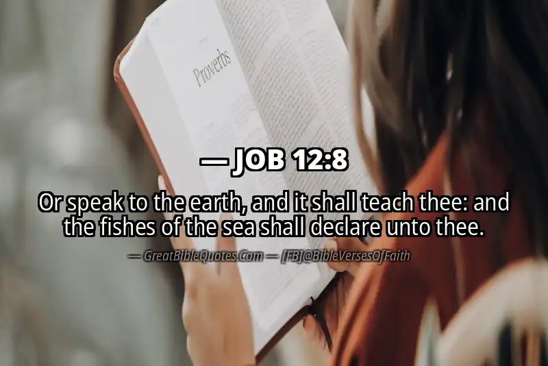 JOB 12:8 Verse