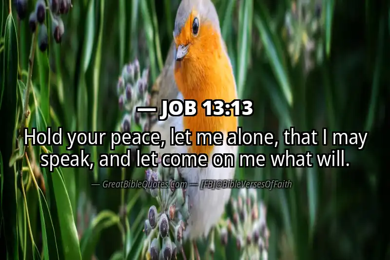 JOB 13:13 Verse