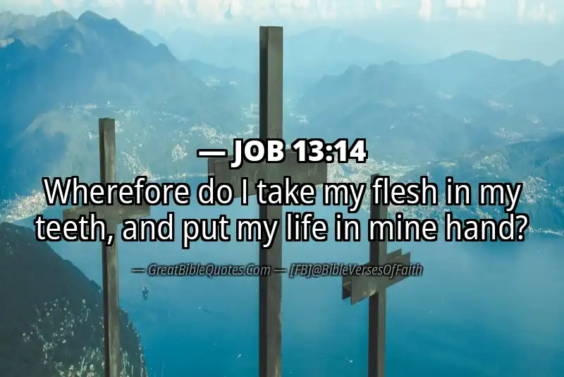 JOB 13:14 Verse