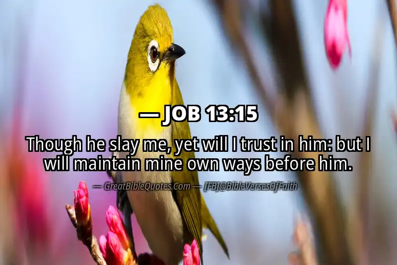 Image for JOB 13:15 Bible verse