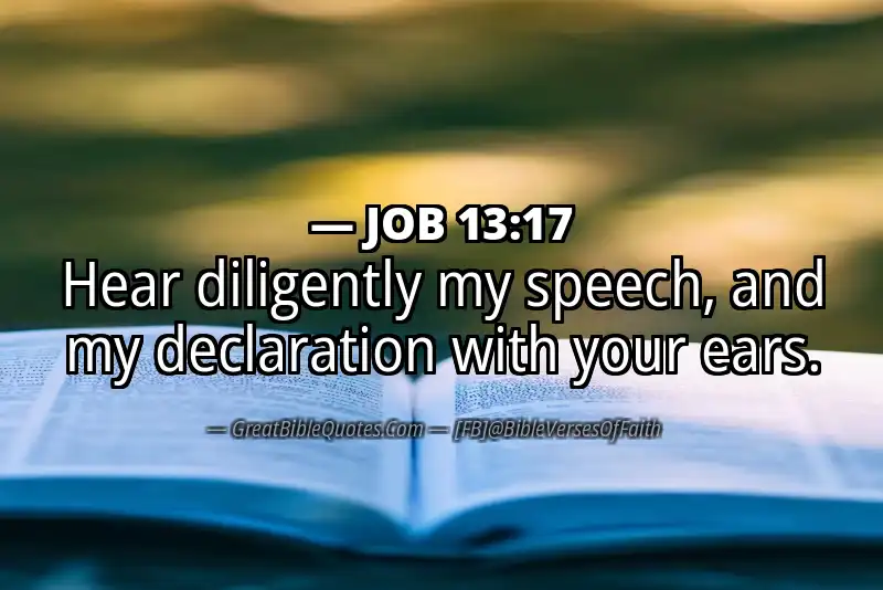 JOB 13:17 Verse