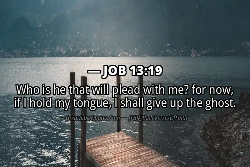 JOB 13:19 Verse Image