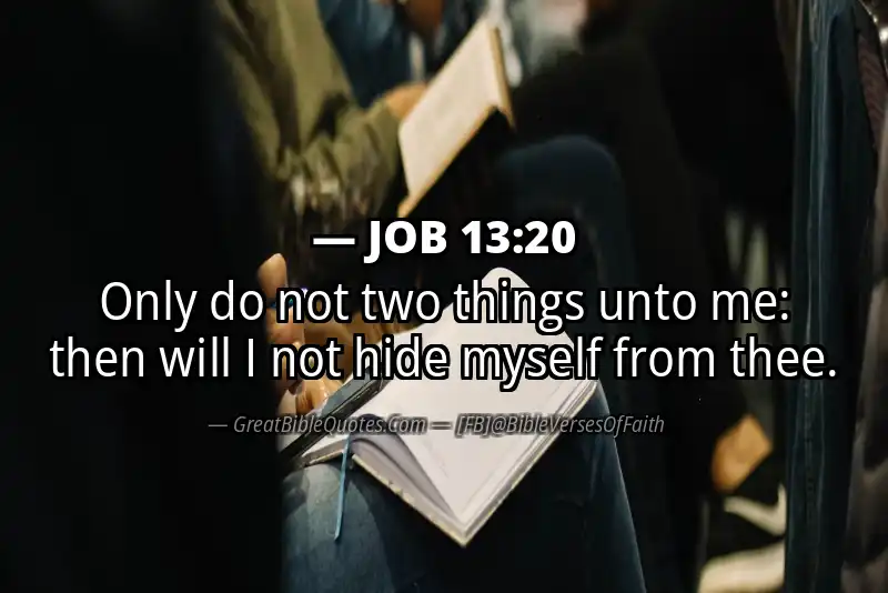 JOB 13:20 Verse