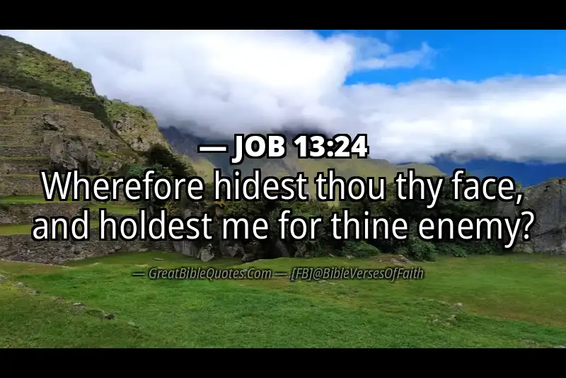 JOB 13:24 Verse