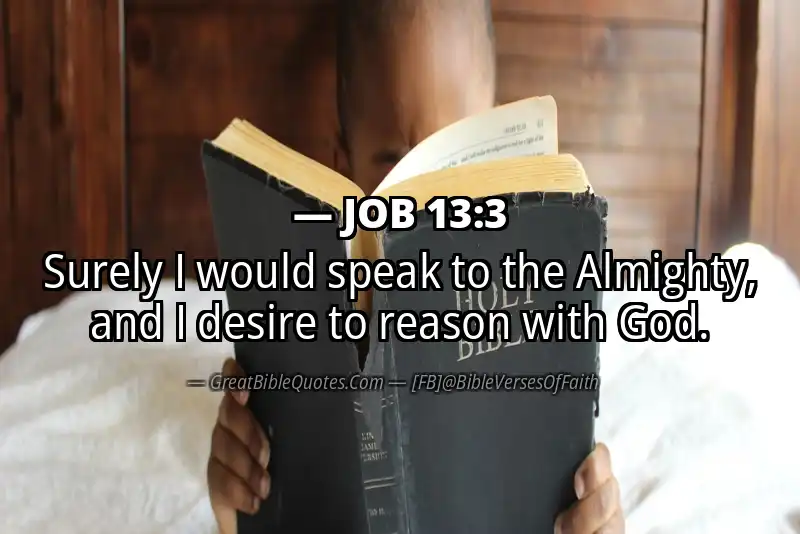 JOB 13:3 Verse
