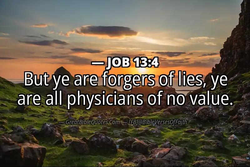 JOB 13:4 Verse