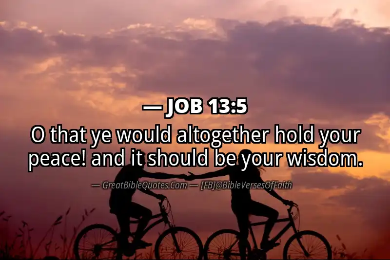 JOB 13:5 Verse