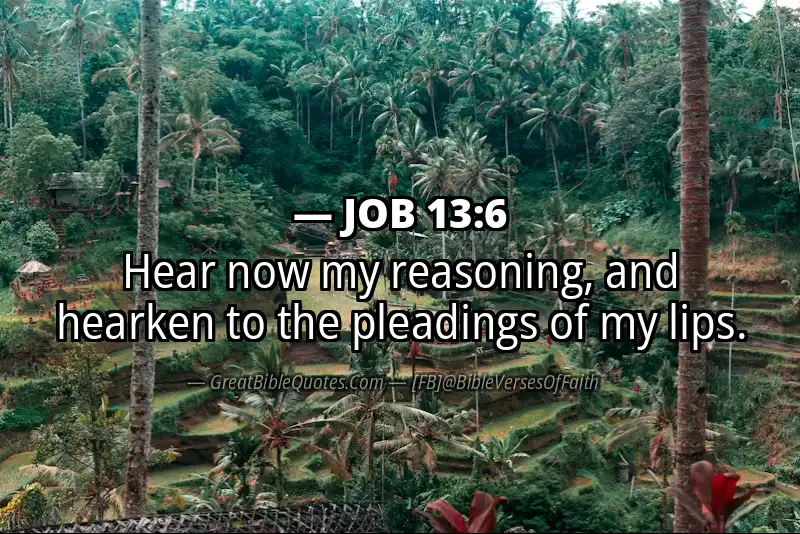 JOB 13:6 Verse