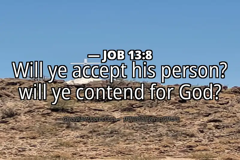 JOB 13:8 Verse