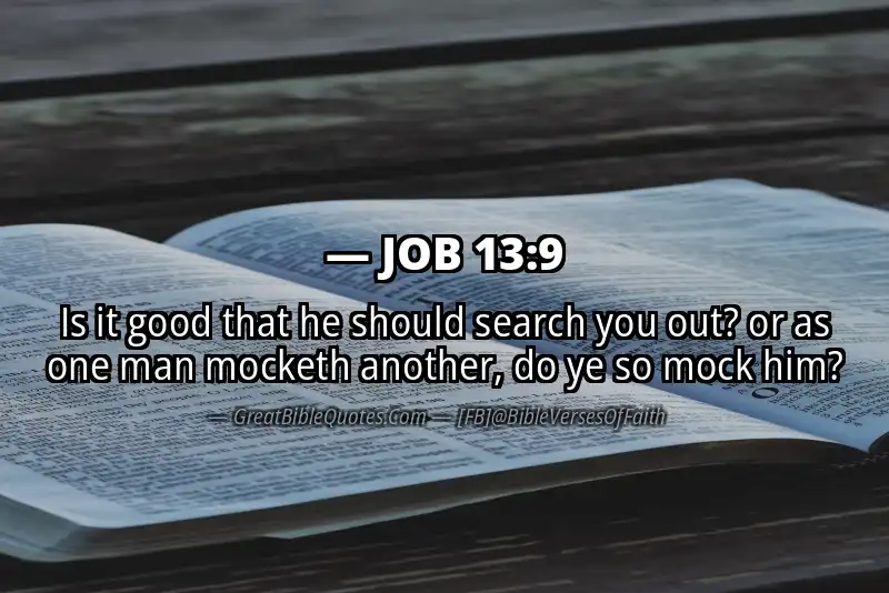 JOB 13:9 Verse
