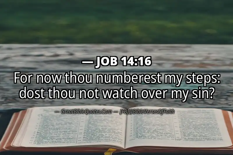 JOB 14:16 Verse