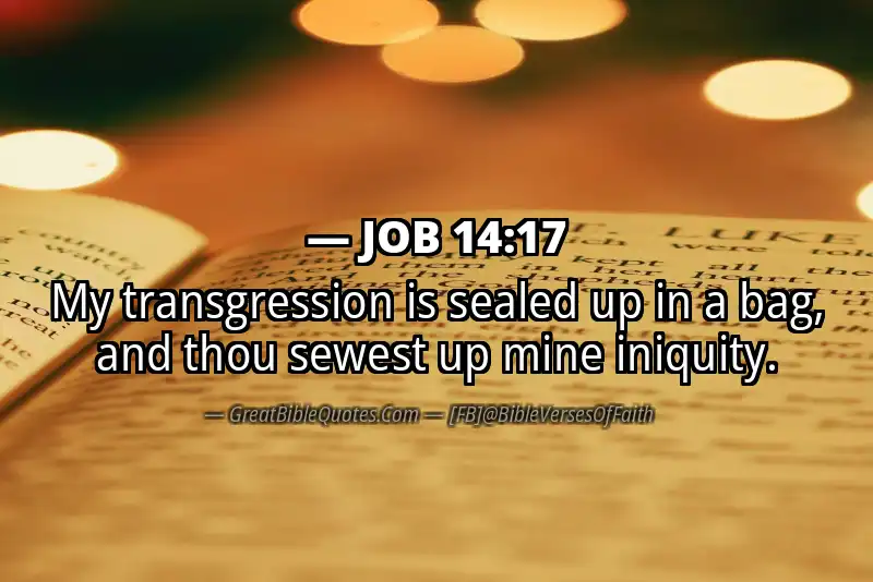 JOB 14:17 Verse