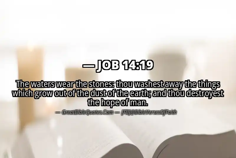 JOB 14:19 Verse