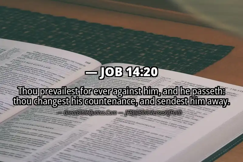 JOB 14:20 Verse Image