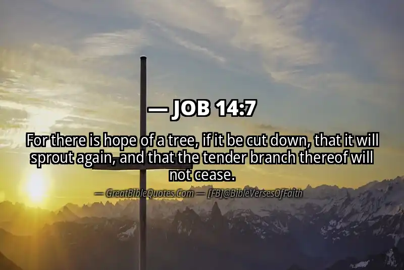JOB 14:7 Verse