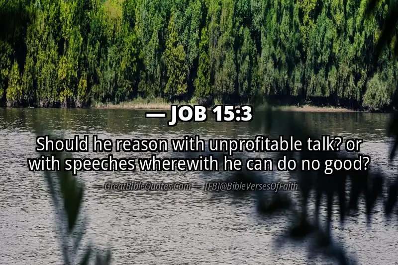 JOB 15:3 Verse