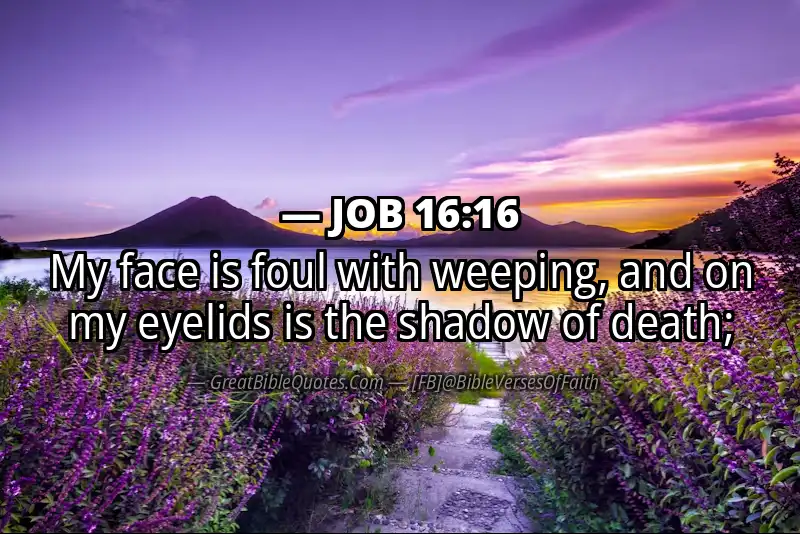 JOB 16:16 Verse