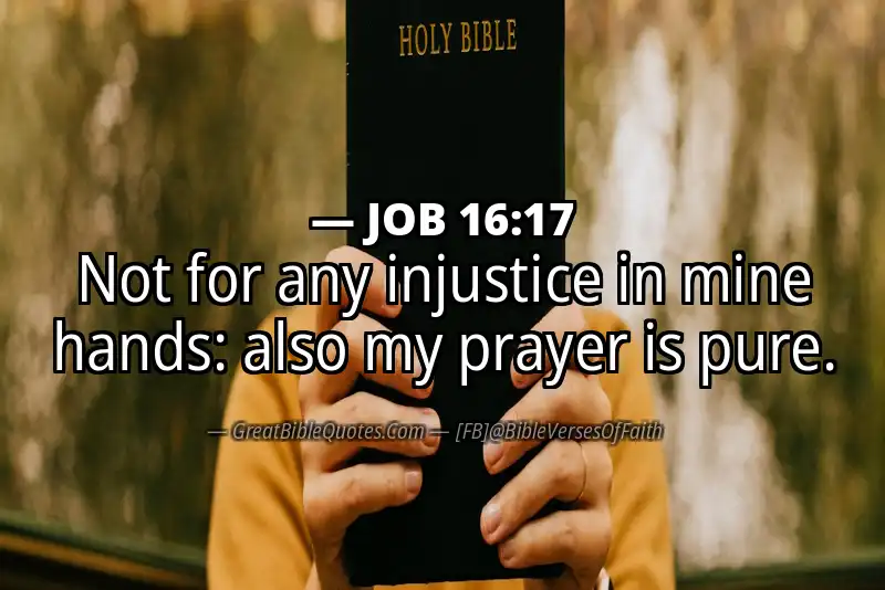 JOB 16:17 Verse