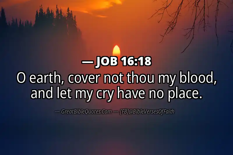 JOB 16:18 Verse