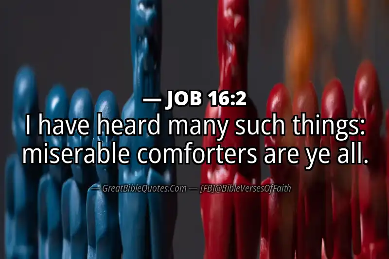 JOB 16:2 Verse