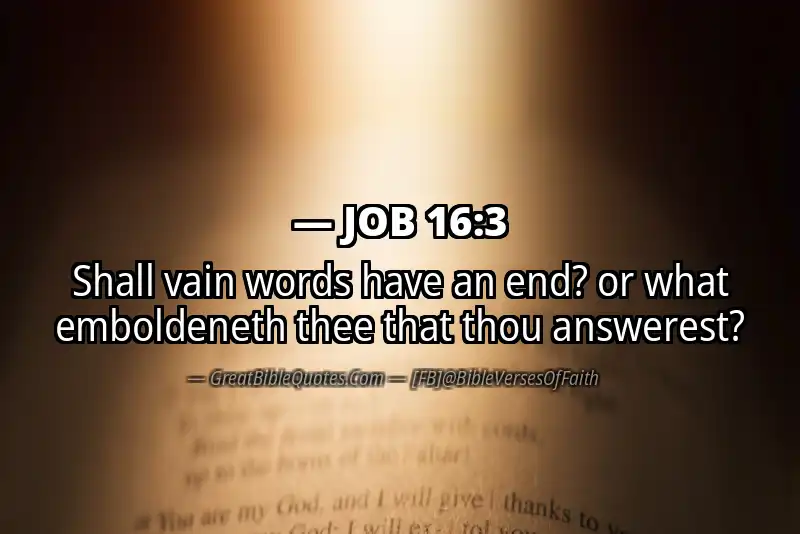 JOB 16:3 Verse