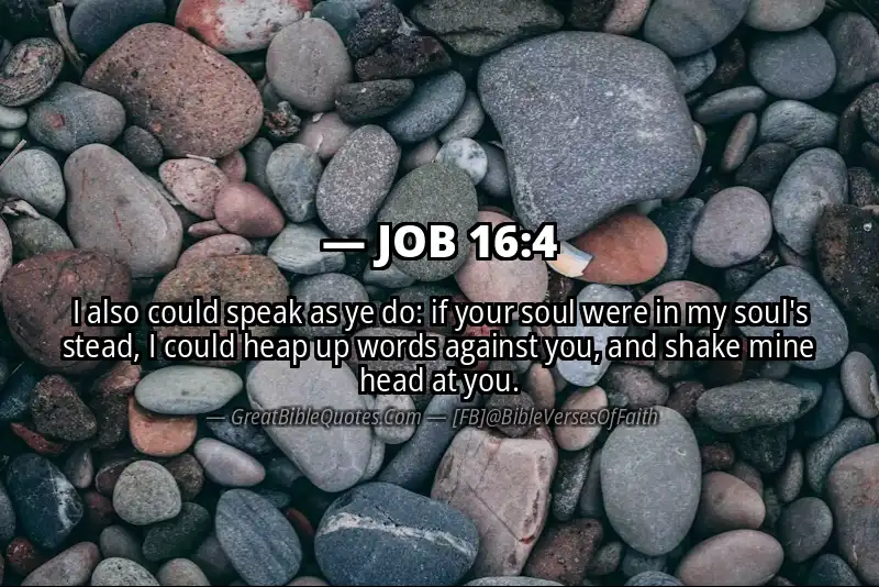 JOB 16:4 Verse