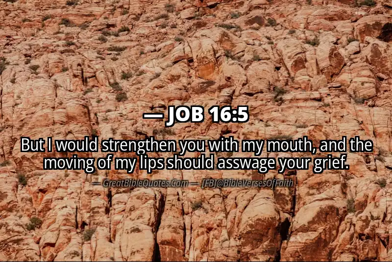 JOB 16:5 Verse