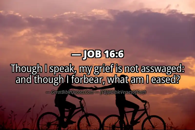 JOB 16:6 Verse