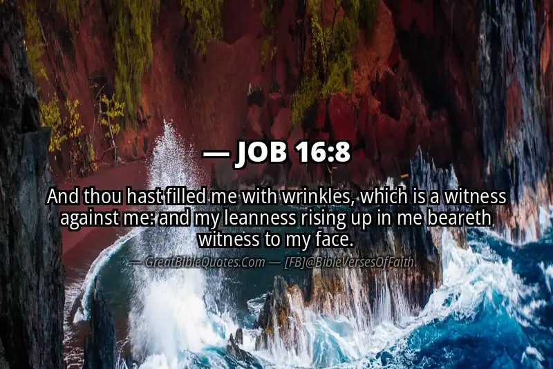 JOB 16:8 Verse