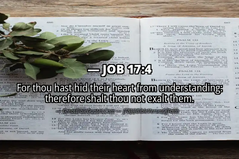 JOB 17:4 Verse