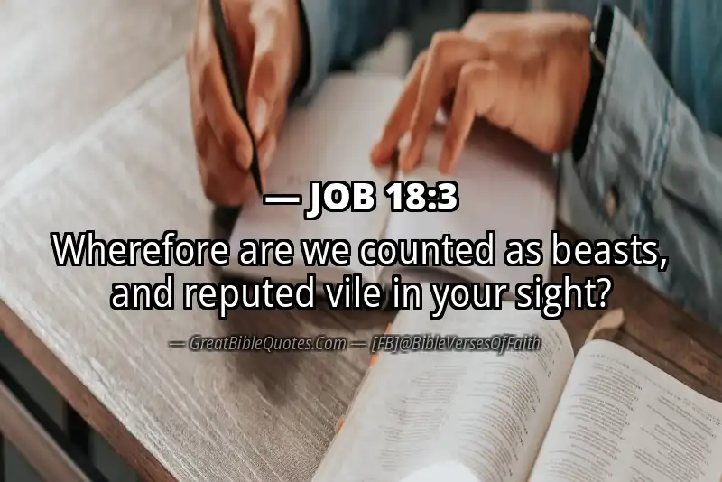 JOB 18:3 Verse