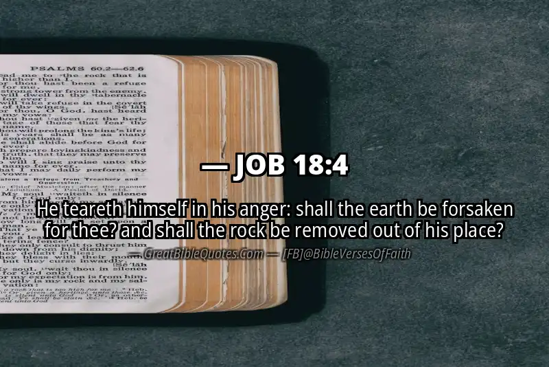 JOB 18:4 Verse Image
