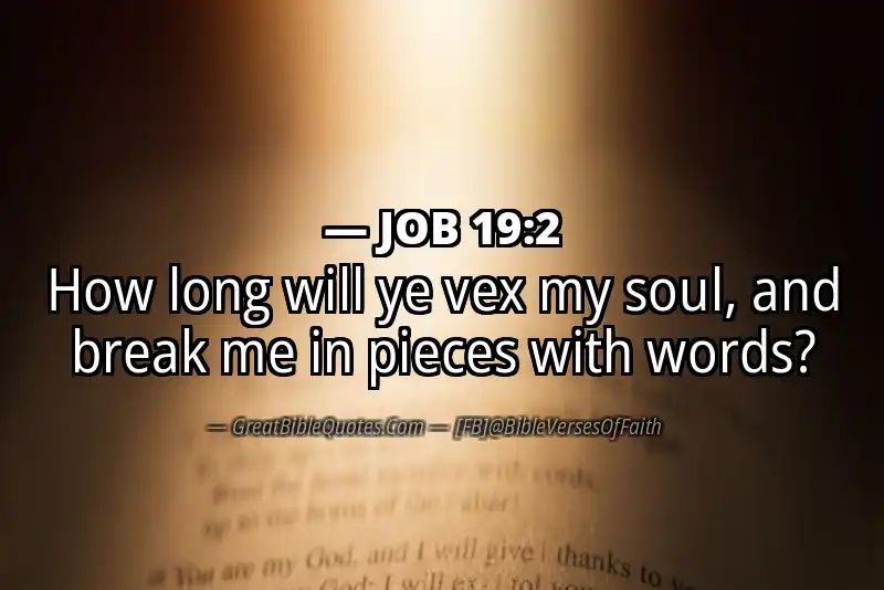 JOB 19:2 Verse