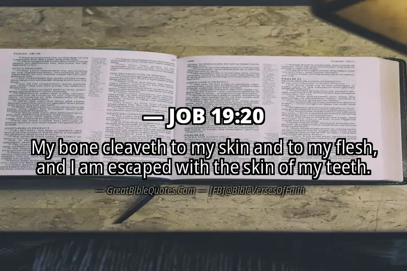 JOB 19:20 Verse Image
