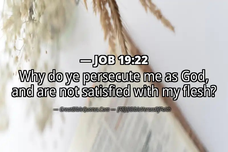 JOB 19:22 Verse